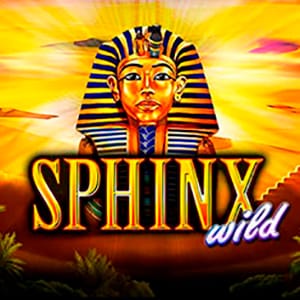 Sphinx Wild screenshot